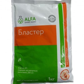 Бластер 1кг