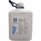 Яра Віта Бортрак 10л.