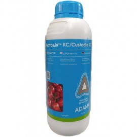 Кустодія 1л