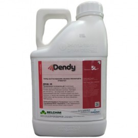 Денді 5л.