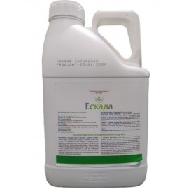 Ескада 5л