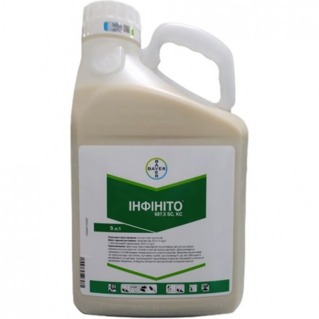 Інфініто 5л.