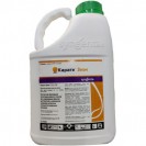 Карате Зеон 5л