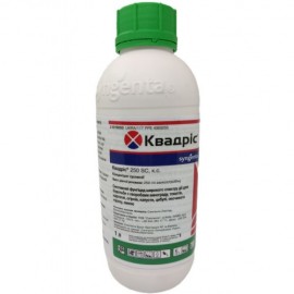 Квадріс 250 кс