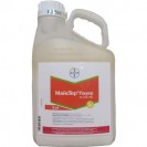 Майстер Пауер 5л.