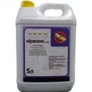Нірвана 5л.