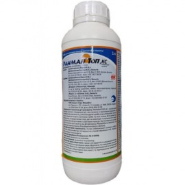 Ранман Топ 1л.