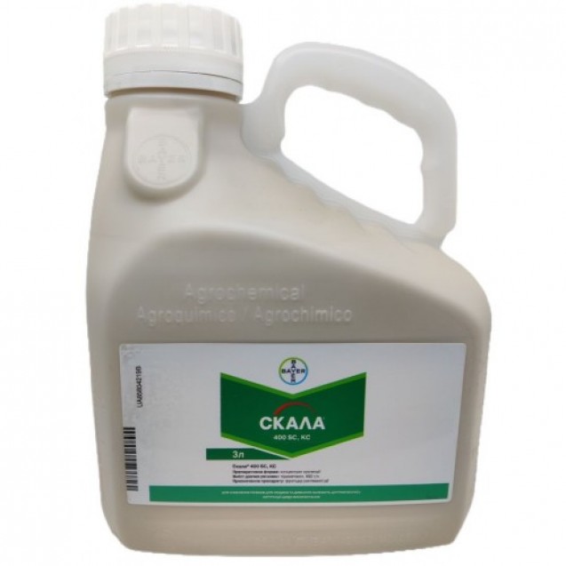 Скала 3л.