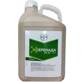 Серенада АСО 10л.