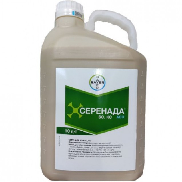 Серенада АСО 10л.