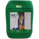 Вуксал Аміноплант БІО 10л.